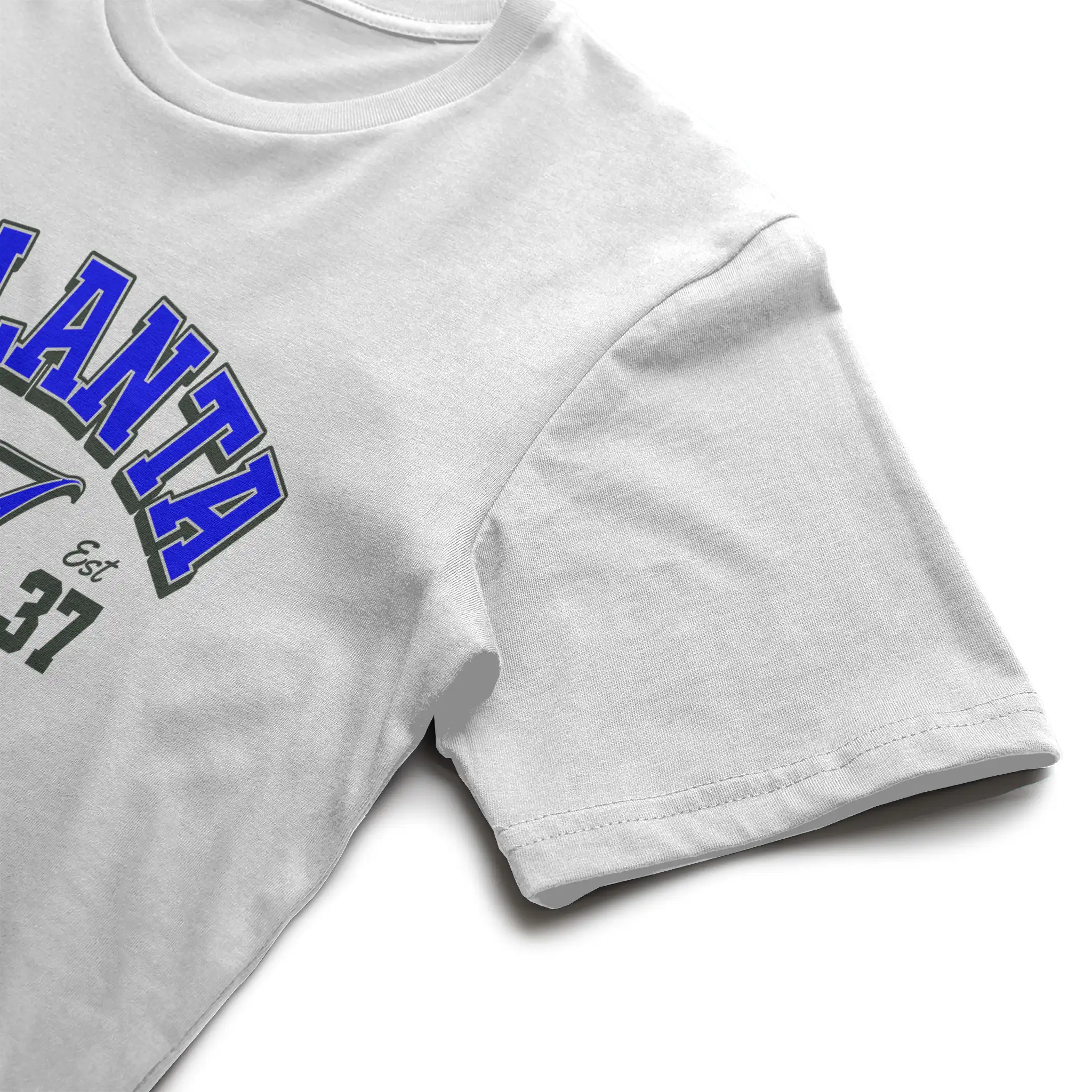 Gildan Heavyweight Tee Rapid Fulfillment