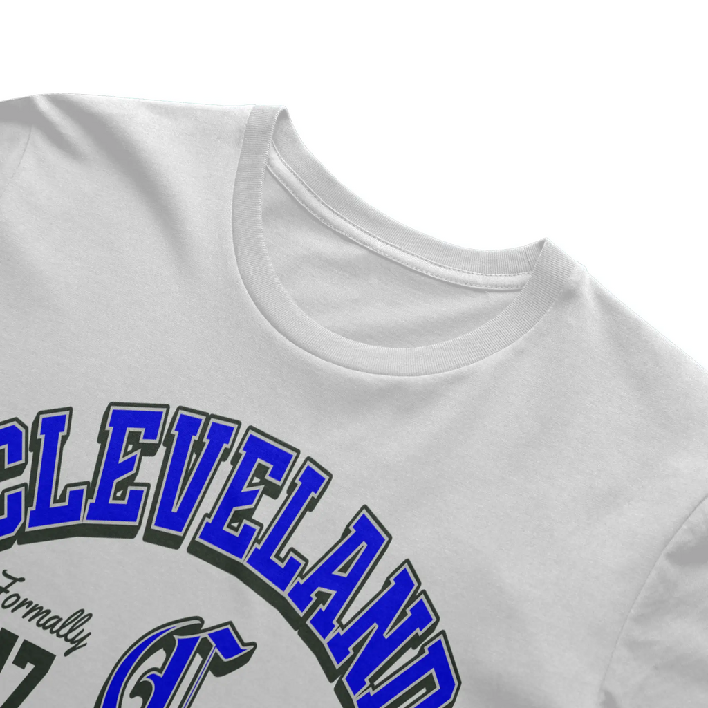 Gildan Heavyweight Tee Rapid Fulfillment