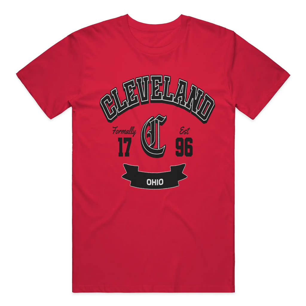Gildan Cotton T Shirt