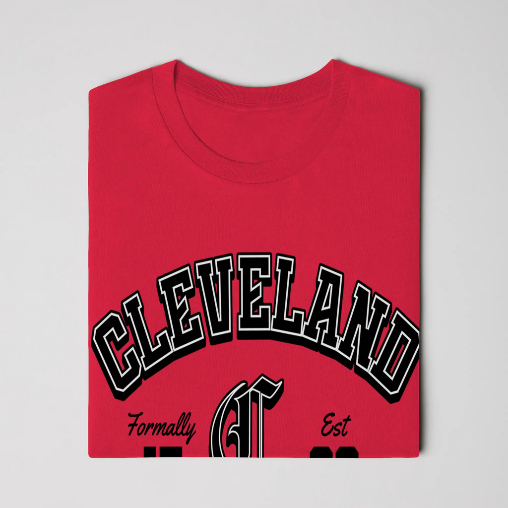 Gildan Cotton T Shirt