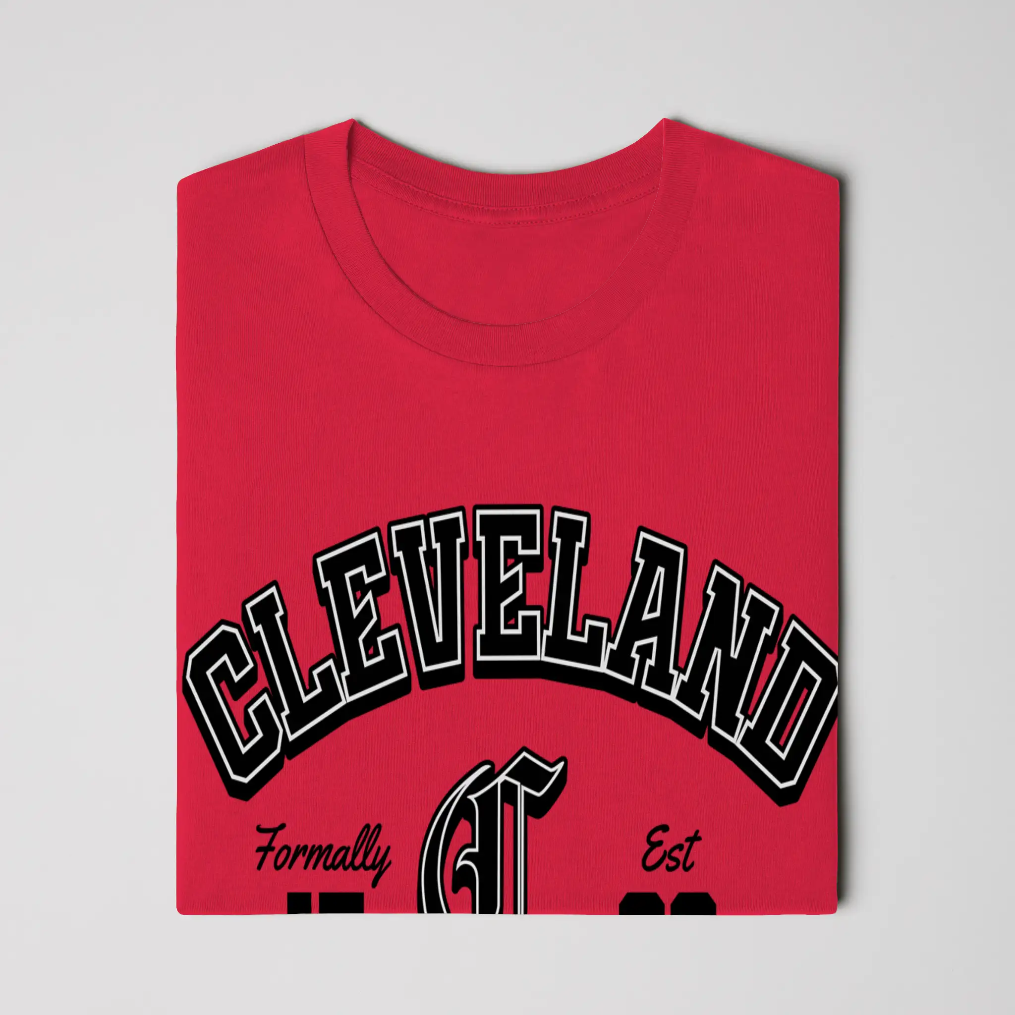 Gildan Cotton T Shirt