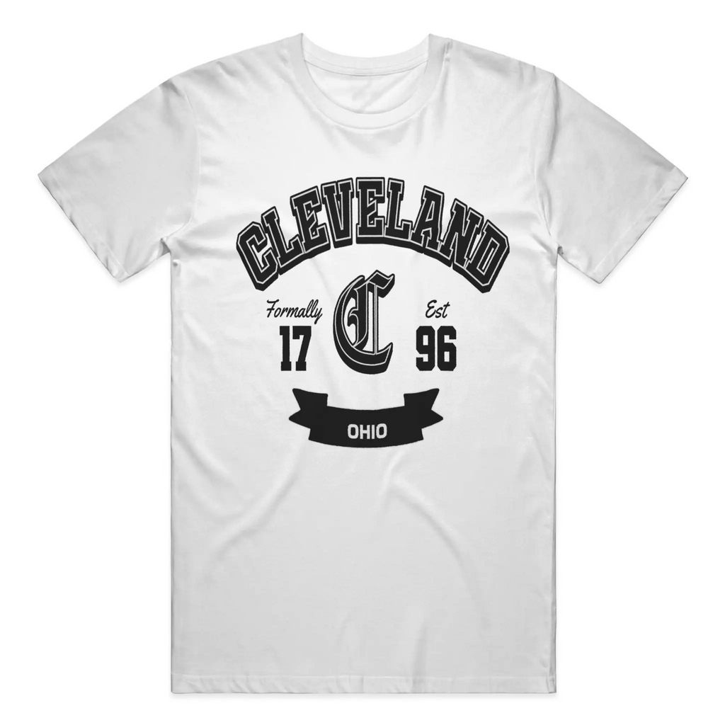 Gildan Cotton T Shirt