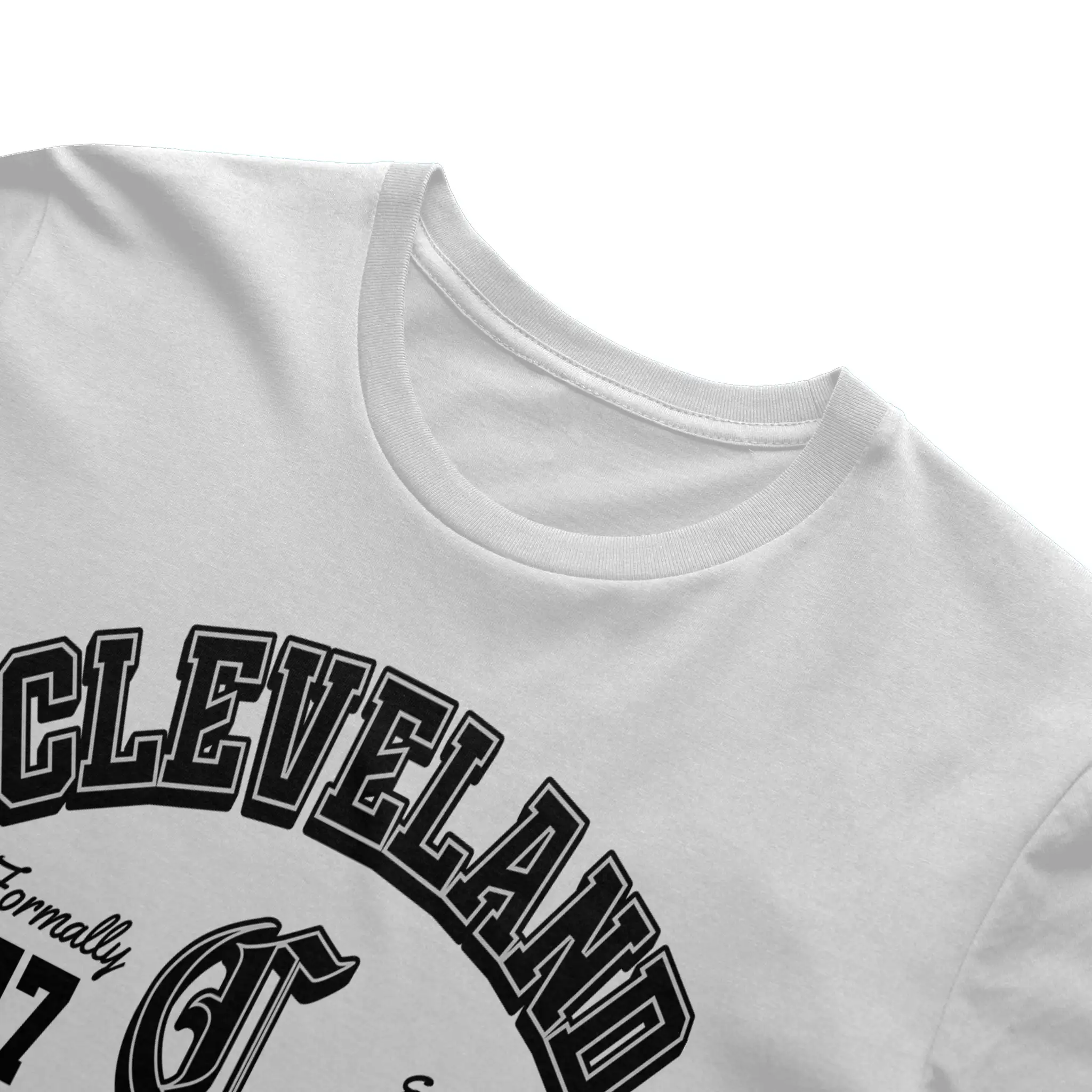 Gildan Cotton T Shirt