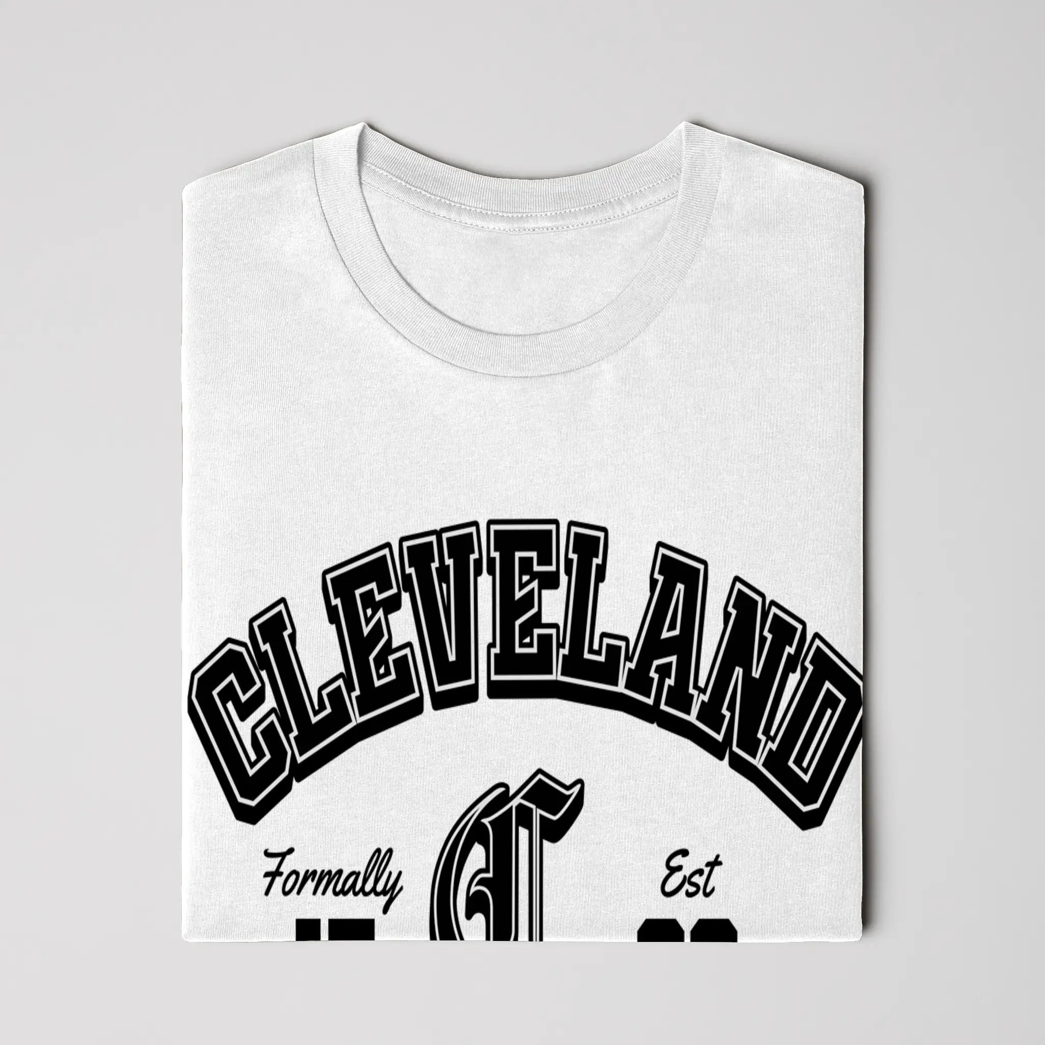 Gildan Cotton T Shirt